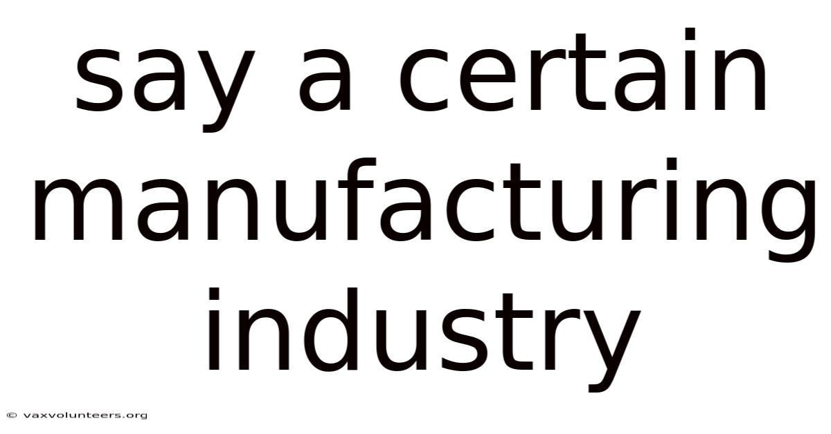 Say A Certain Manufacturing Industry