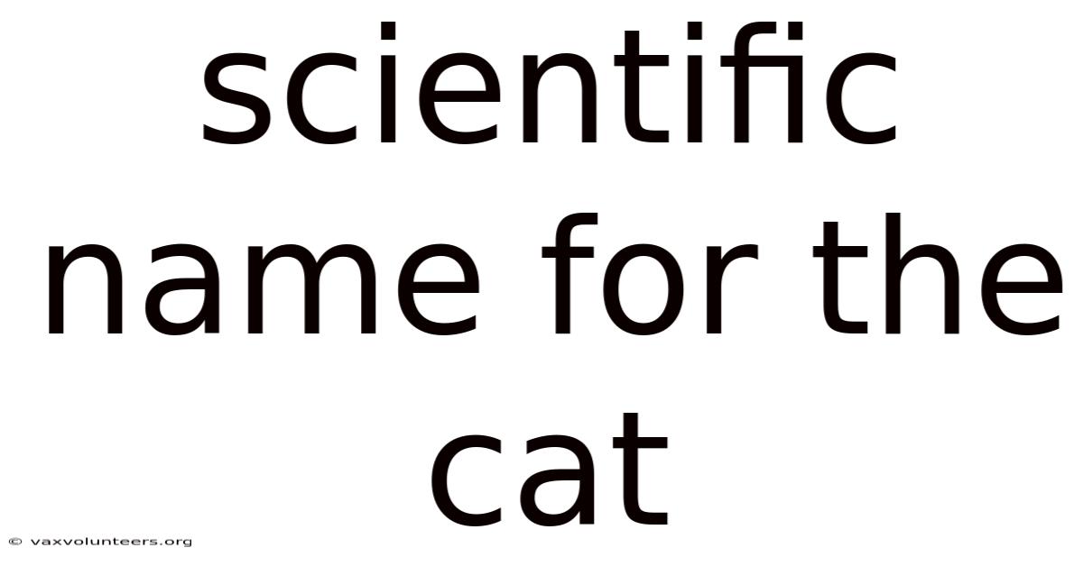Scientific Name For The Cat