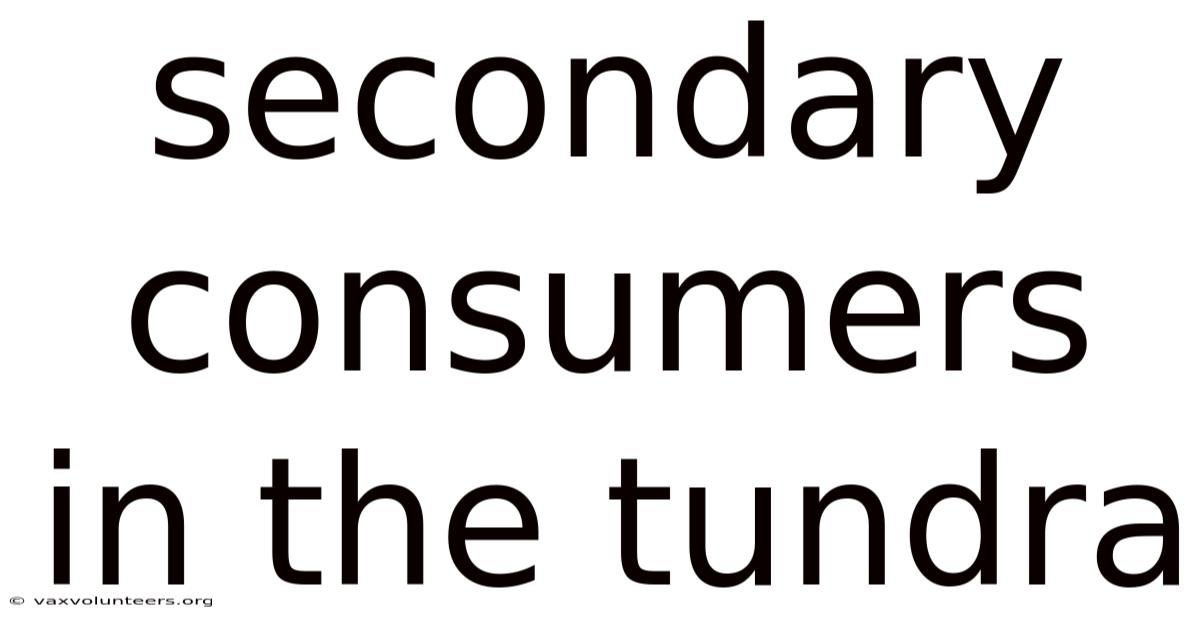 Secondary Consumers In The Tundra