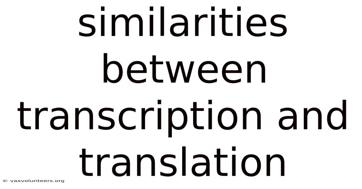 Similarities Between Transcription And Translation