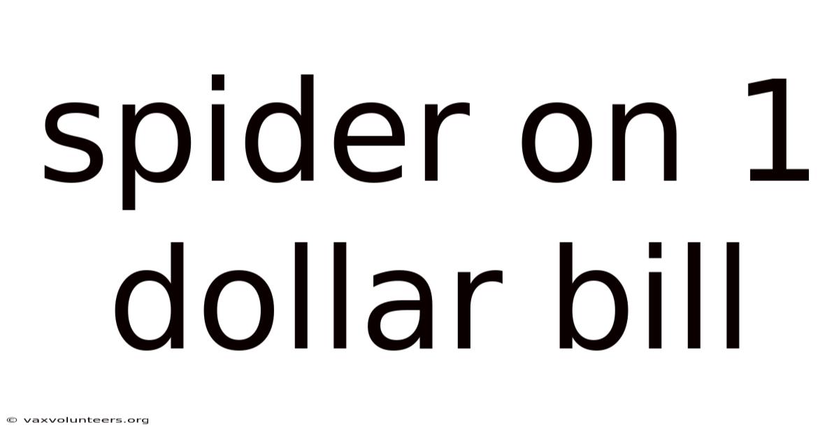 Spider On 1 Dollar Bill