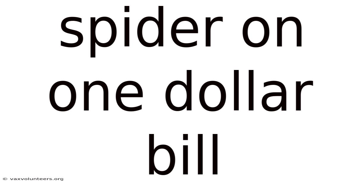 Spider On One Dollar Bill