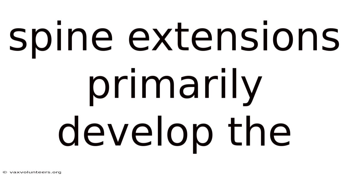 Spine Extensions Primarily Develop The