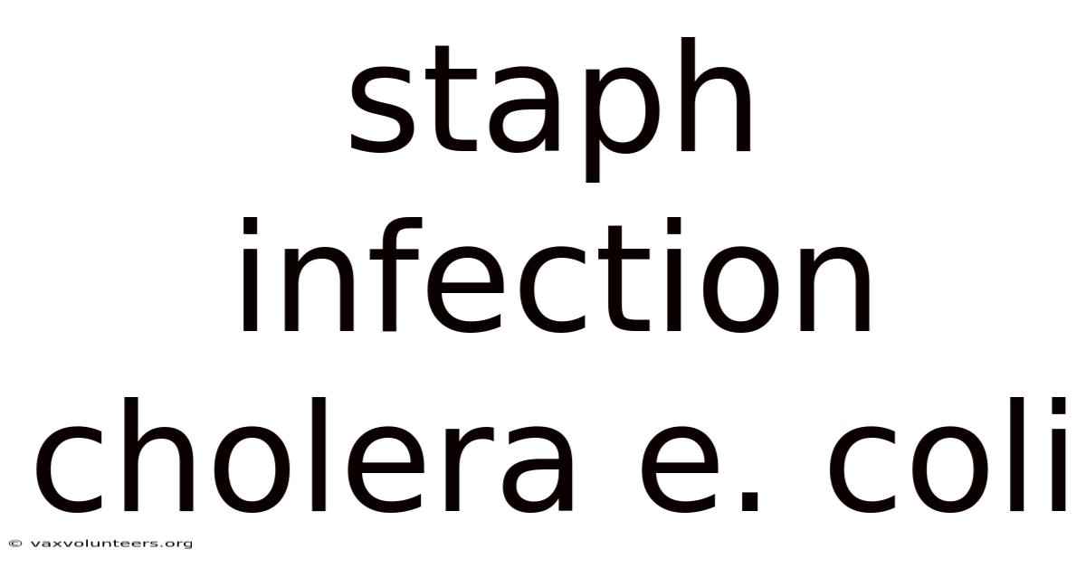 Staph Infection Cholera E. Coli