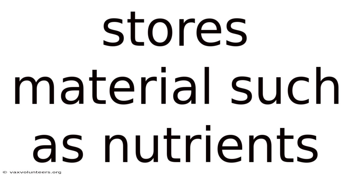 Stores Material Such As Nutrients