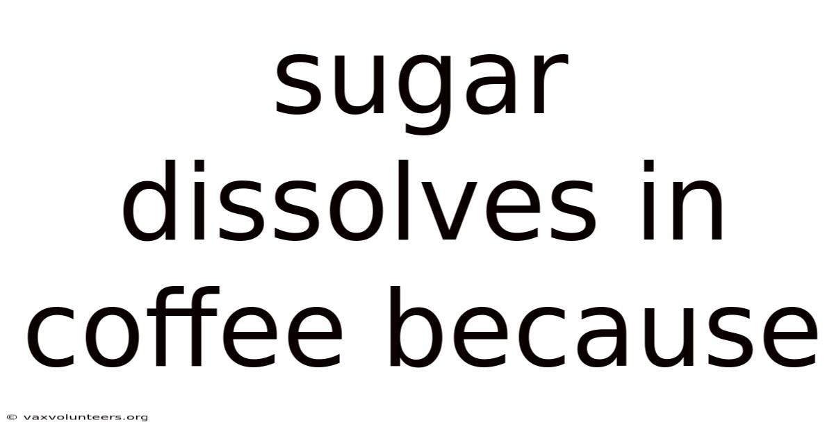 Sugar Dissolves In Coffee Because
