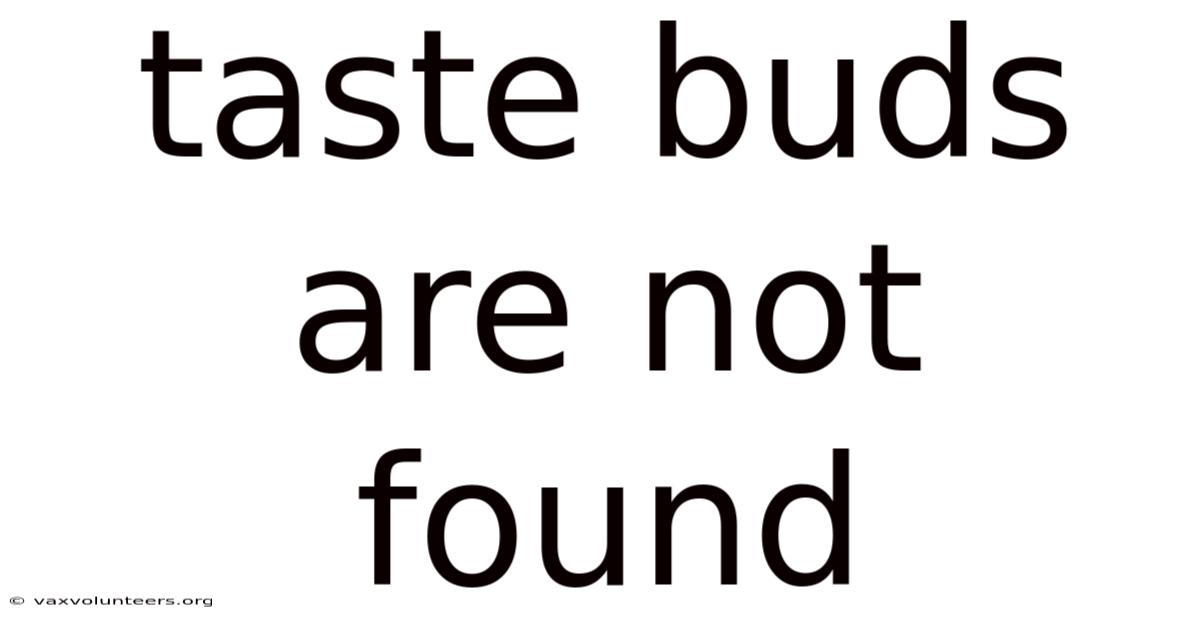 Taste Buds Are Not Found