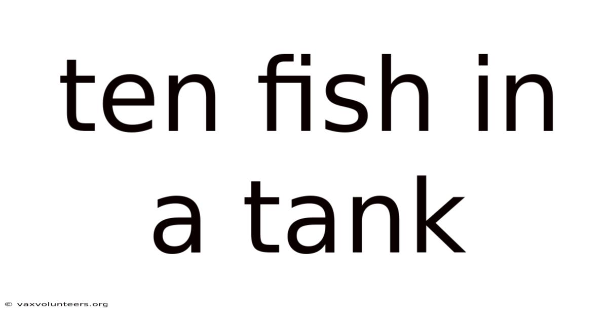 Ten Fish In A Tank