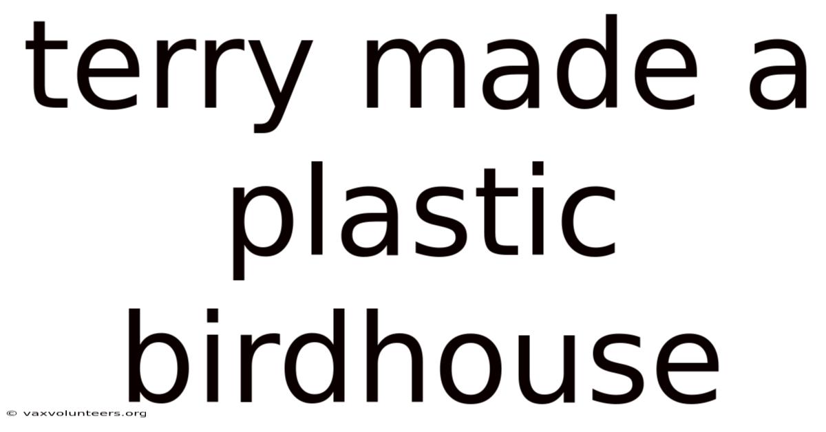 Terry Made A Plastic Birdhouse
