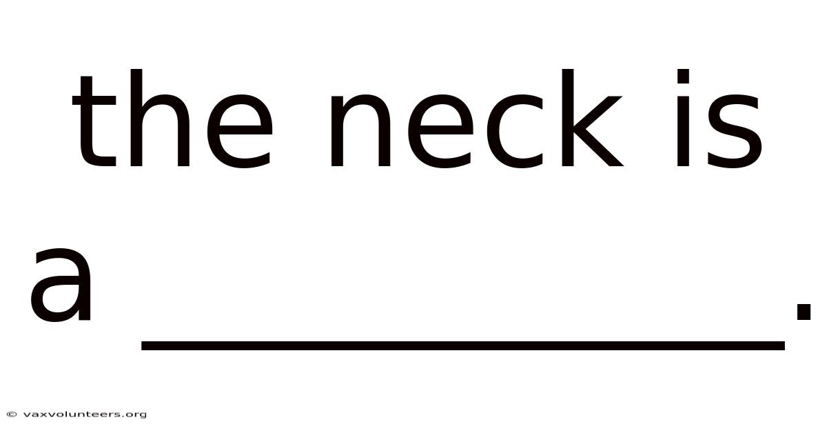 The Neck Is A __________.