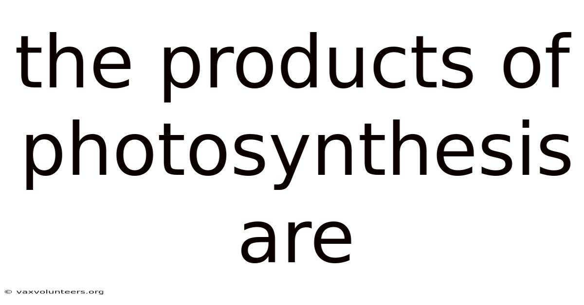The Products Of Photosynthesis Are