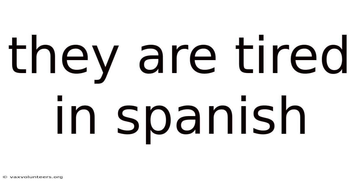 They Are Tired In Spanish