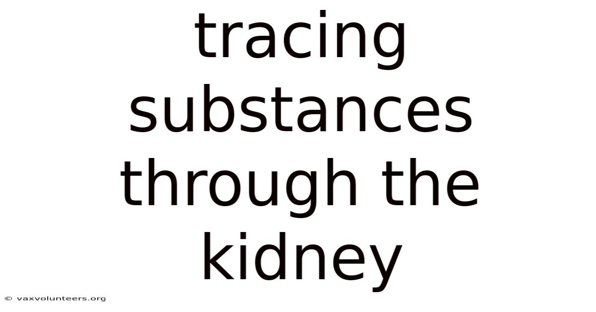 Tracing Substances Through The Kidney