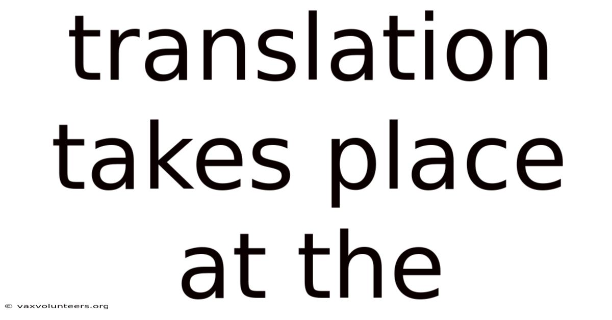 Translation Takes Place At The
