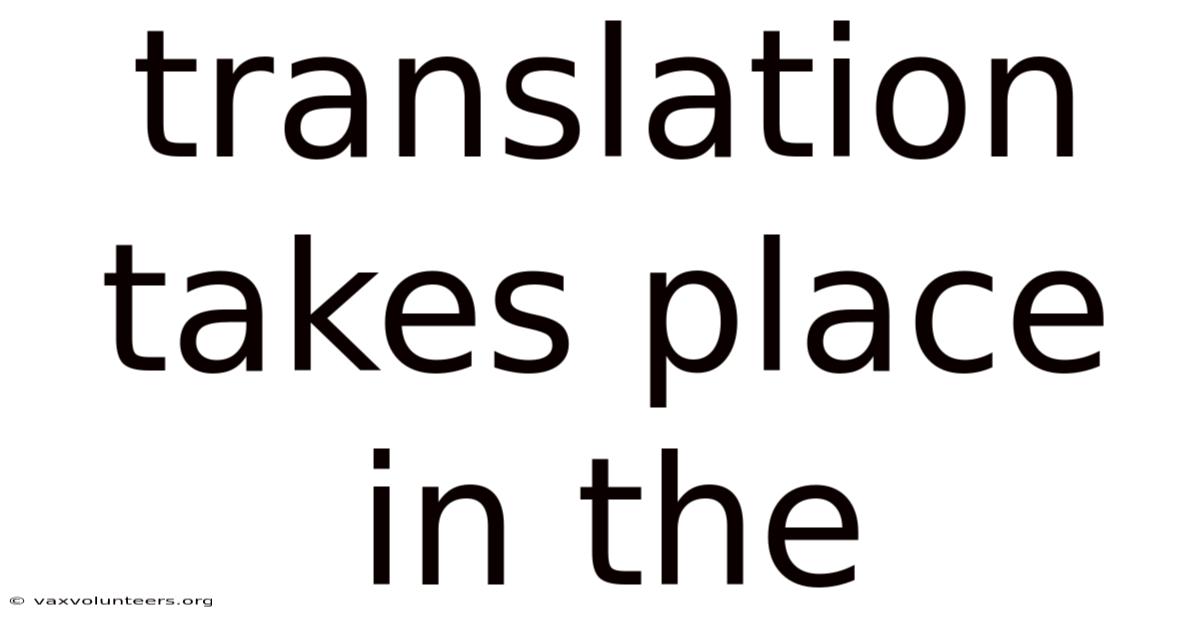 Translation Takes Place In The