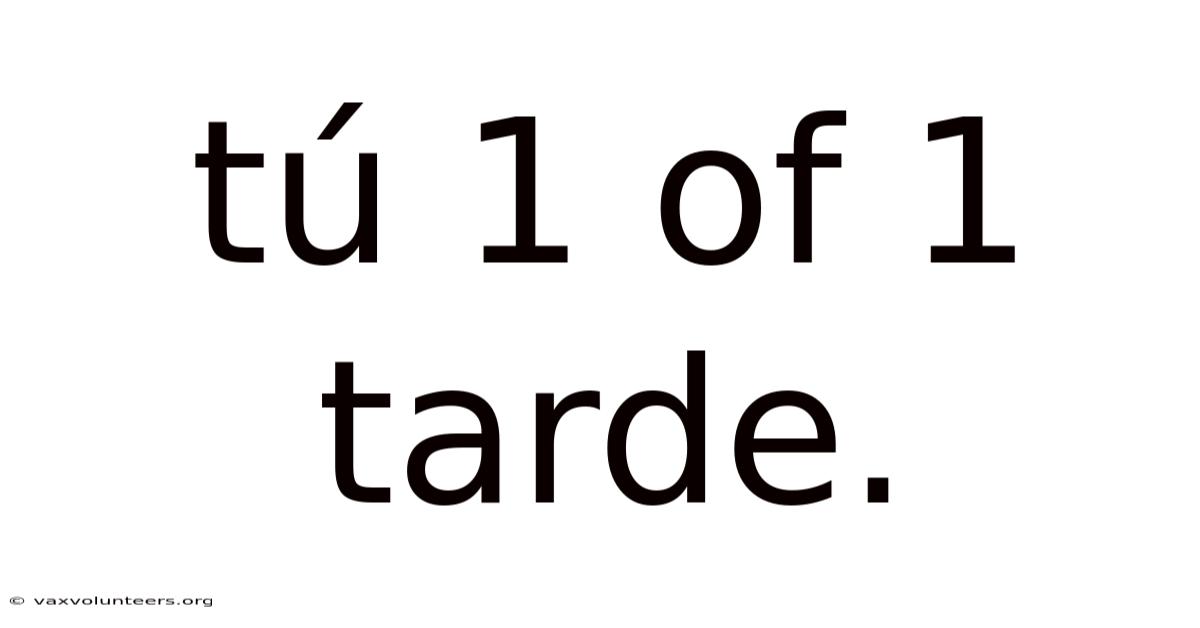 Tú 1 Of 1 Tarde.