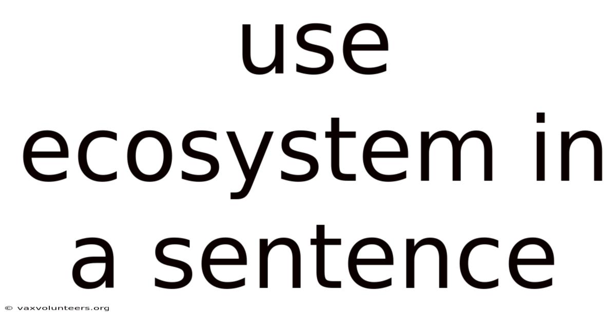 Use Ecosystem In A Sentence