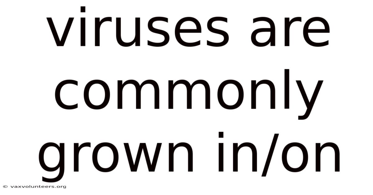 Viruses Are Commonly Grown In/on