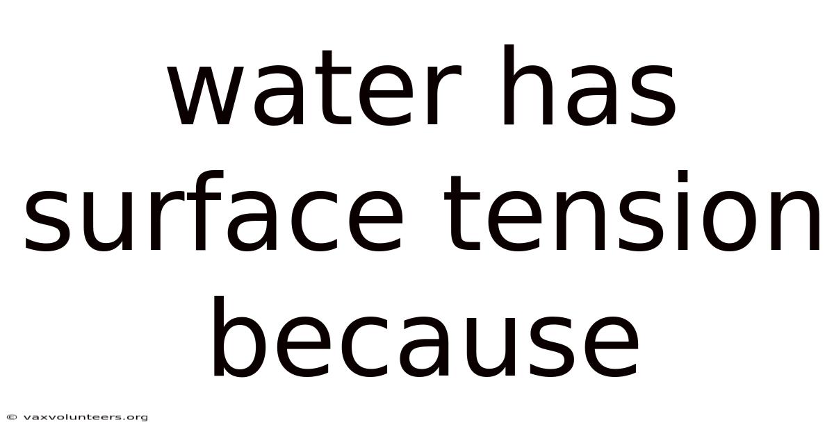 Water Has Surface Tension Because