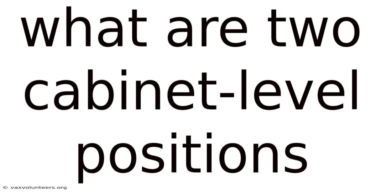 What Are Two Cabinet-level Positions