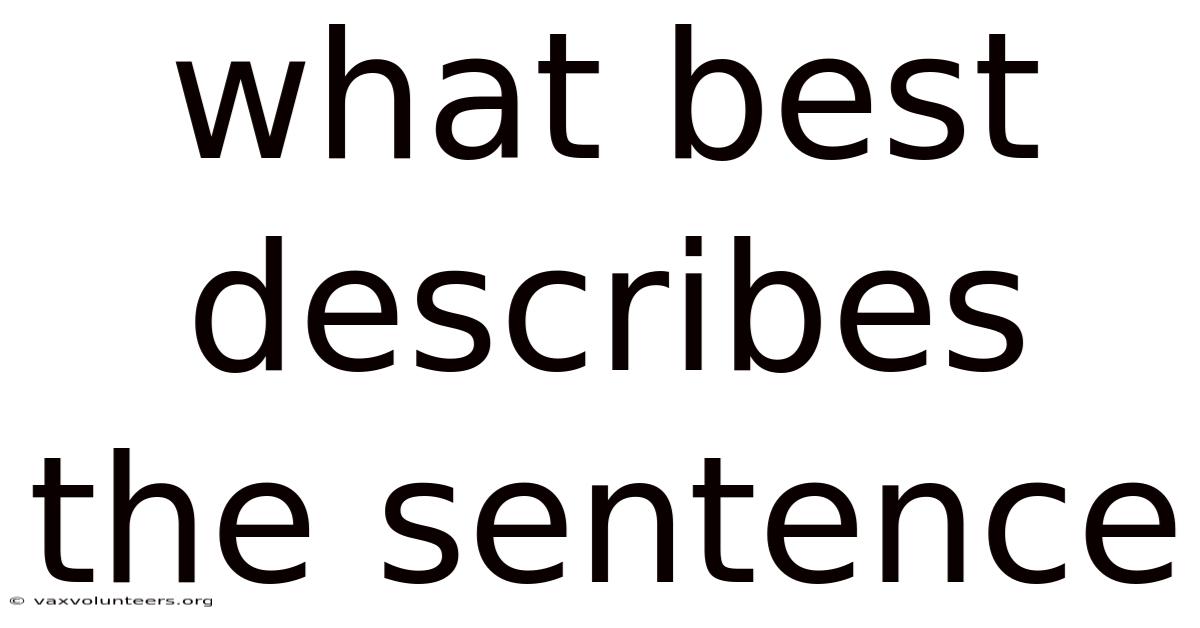 What Best Describes The Sentence