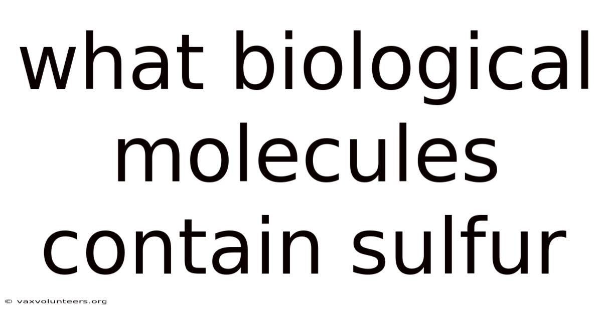 What Biological Molecules Contain Sulfur