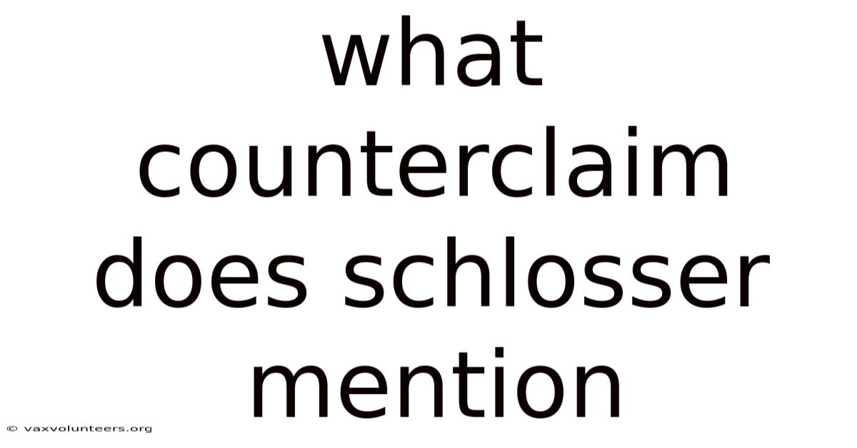 What Counterclaim Does Schlosser Mention