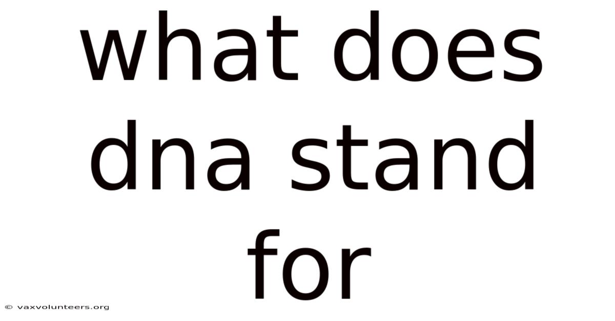 What Does Dna Stand For