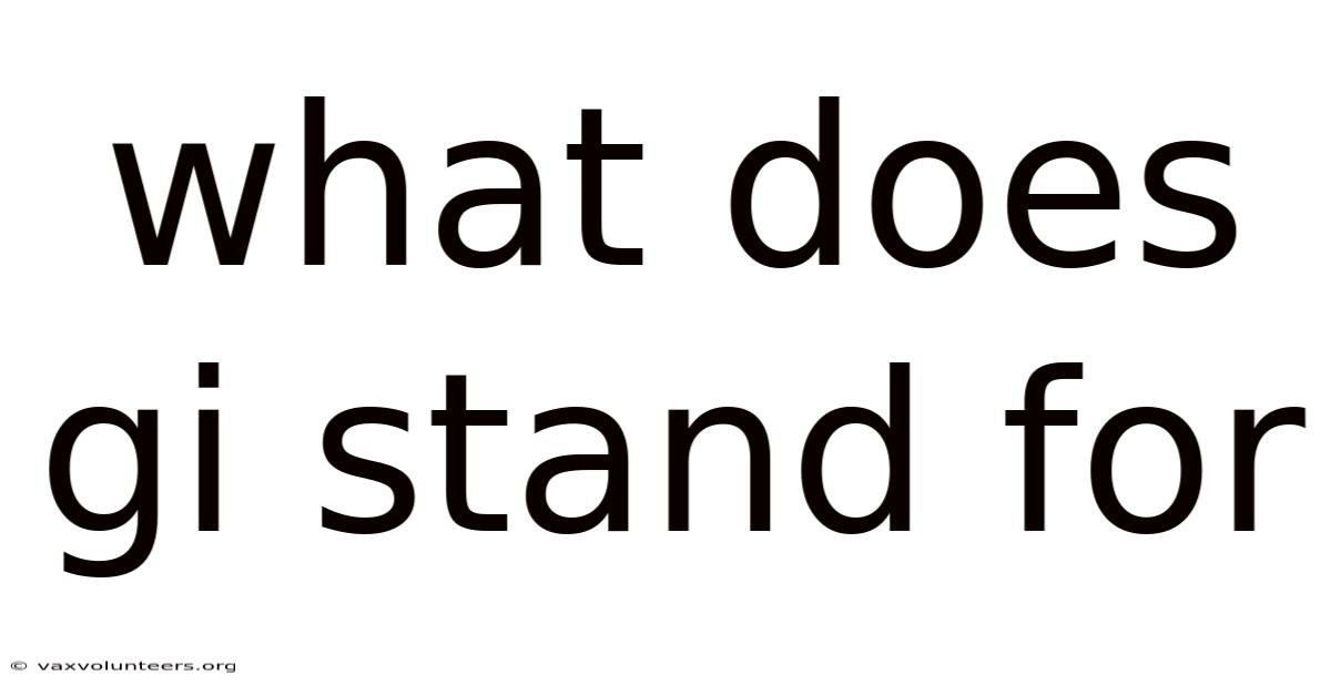 What Does Gi Stand For
