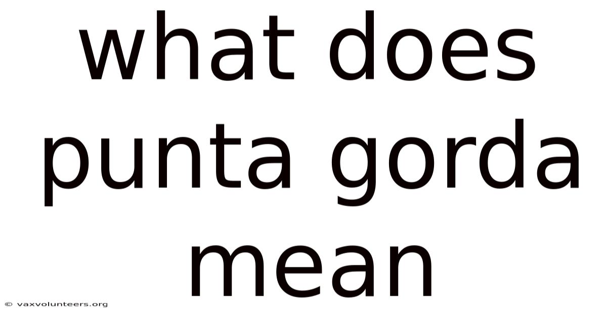 What Does Punta Gorda Mean