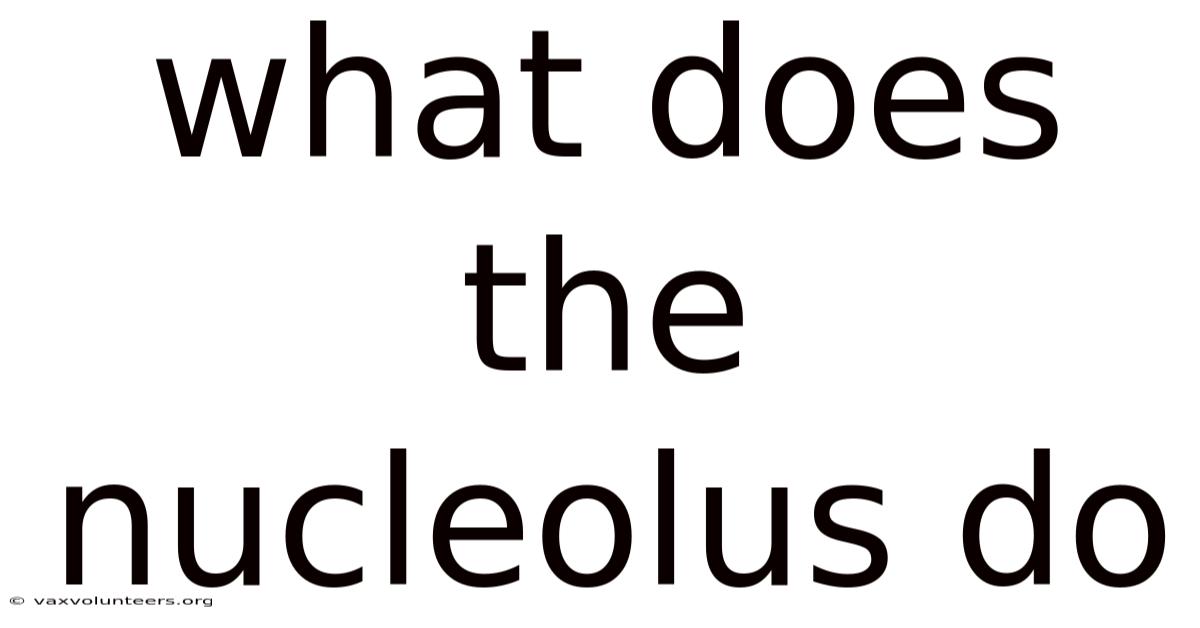 What Does The Nucleolus Do