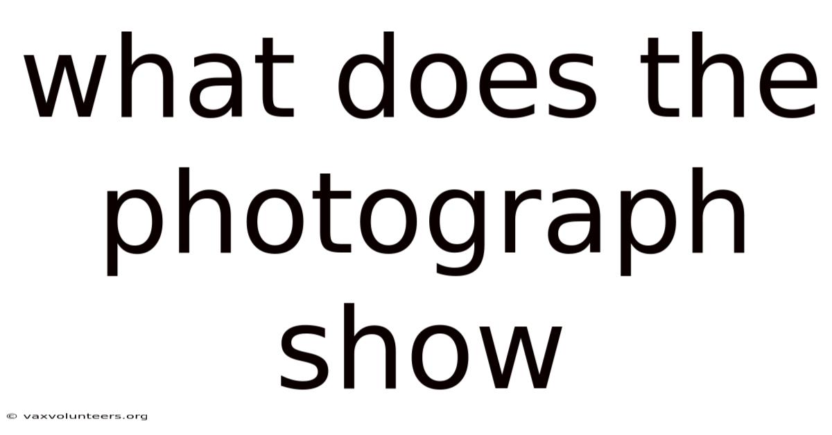 What Does The Photograph Show