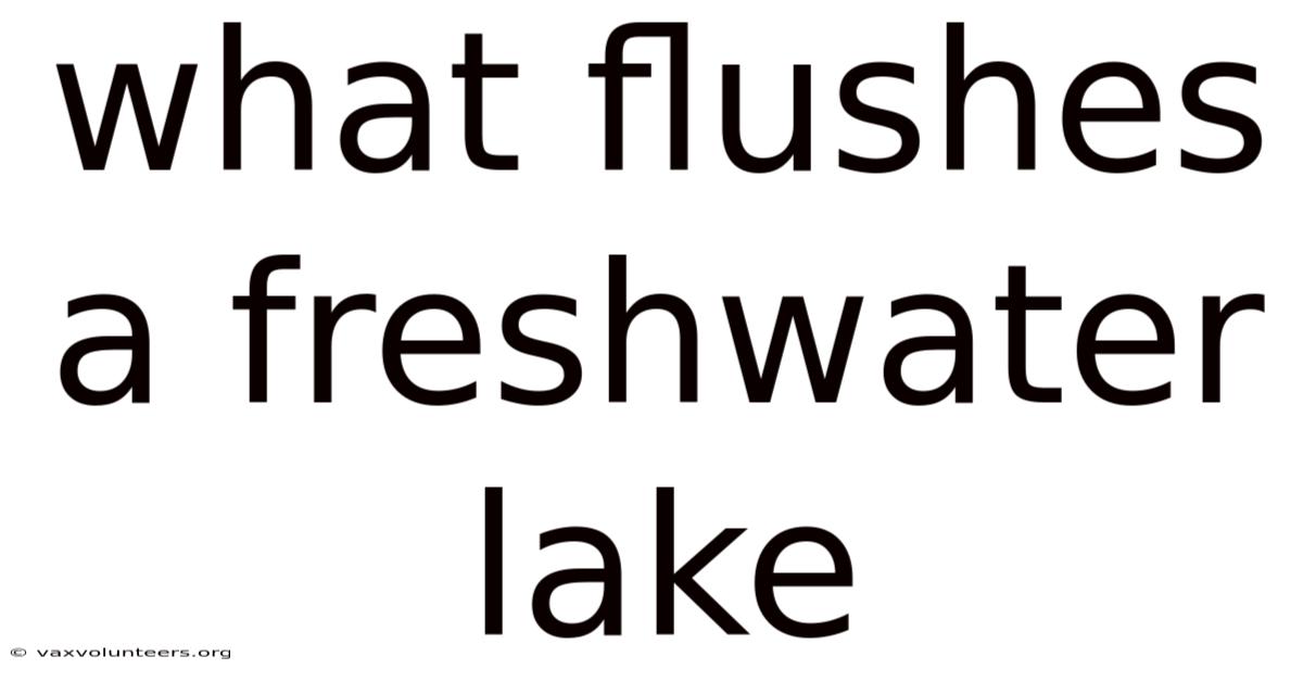 What Flushes A Freshwater Lake