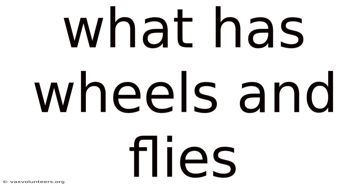 What Has Wheels And Flies