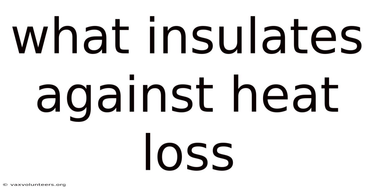 What Insulates Against Heat Loss