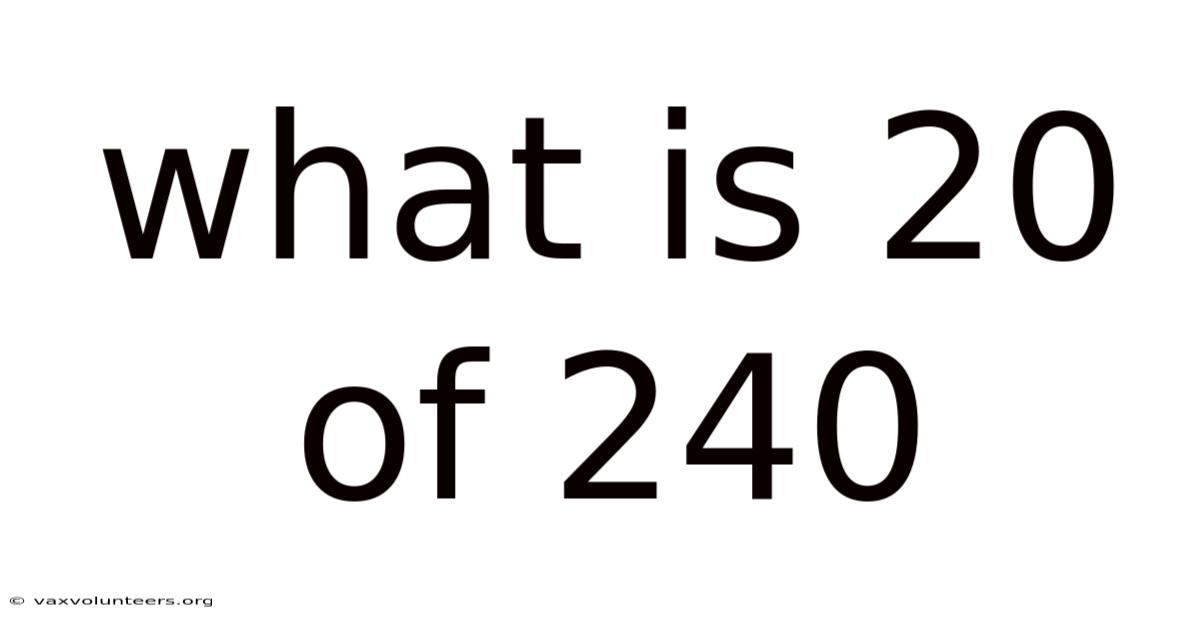 What Is 20 Of 240