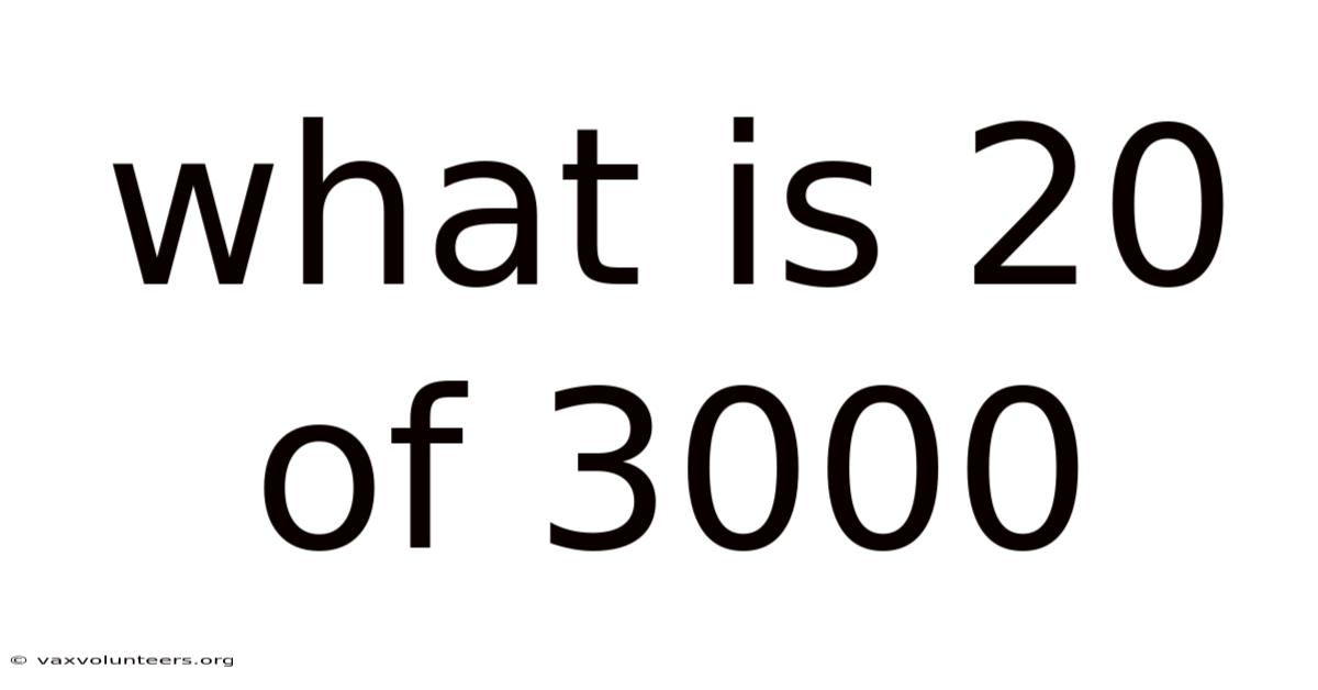 What Is 20 Of 3000