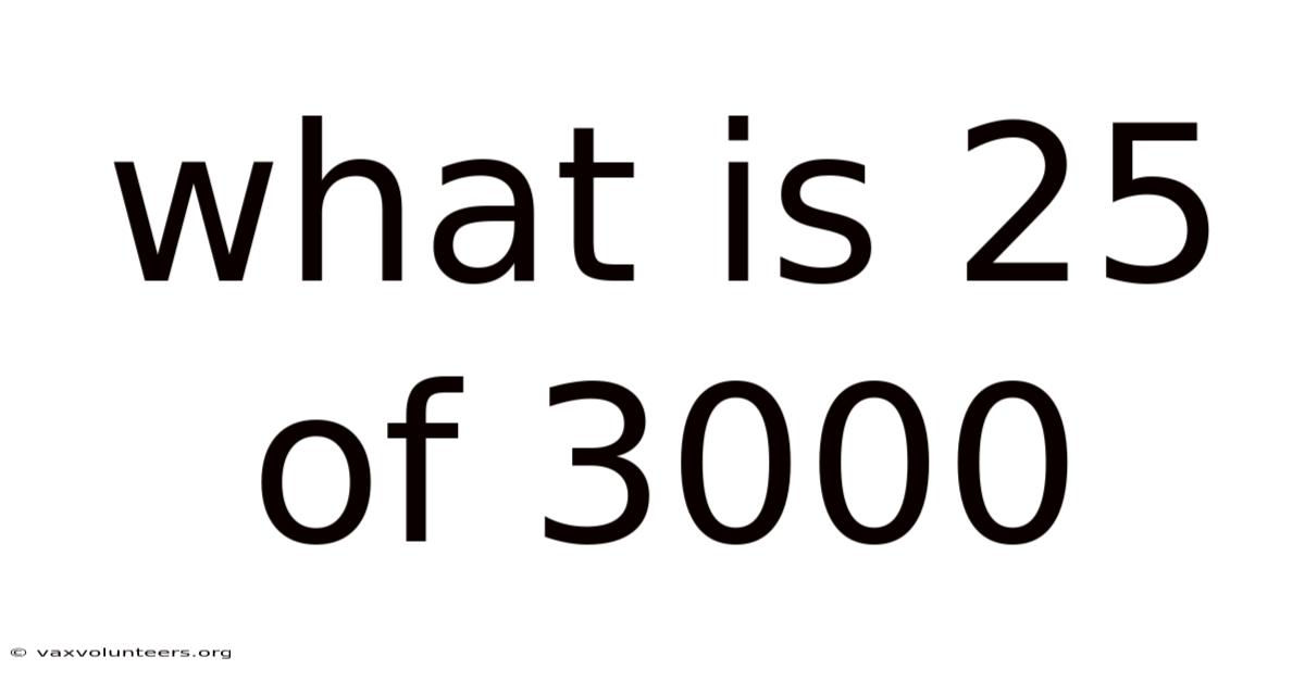 What Is 25 Of 3000