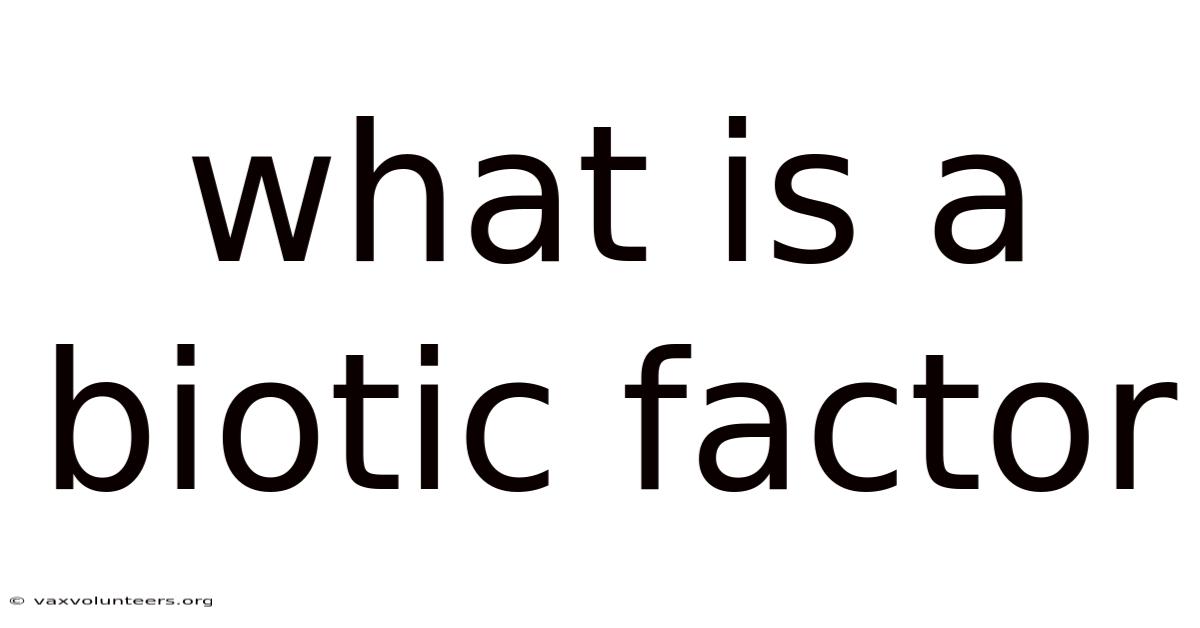 What Is A Biotic Factor