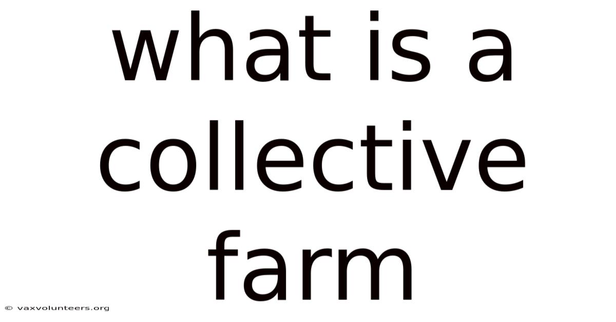 What Is A Collective Farm