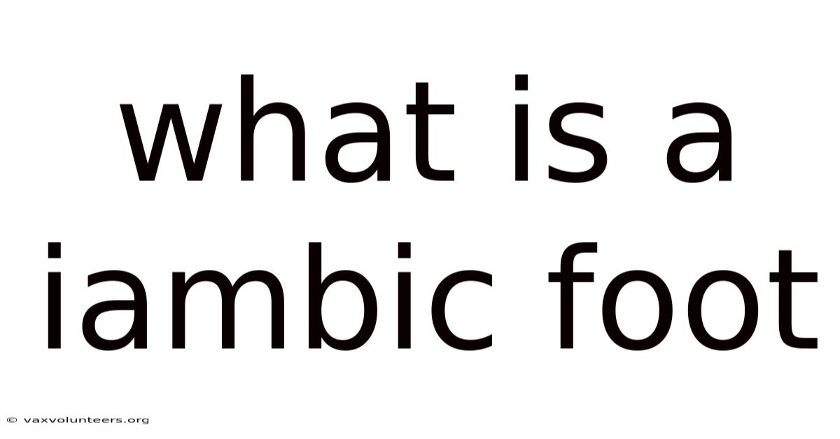 What Is A Iambic Foot