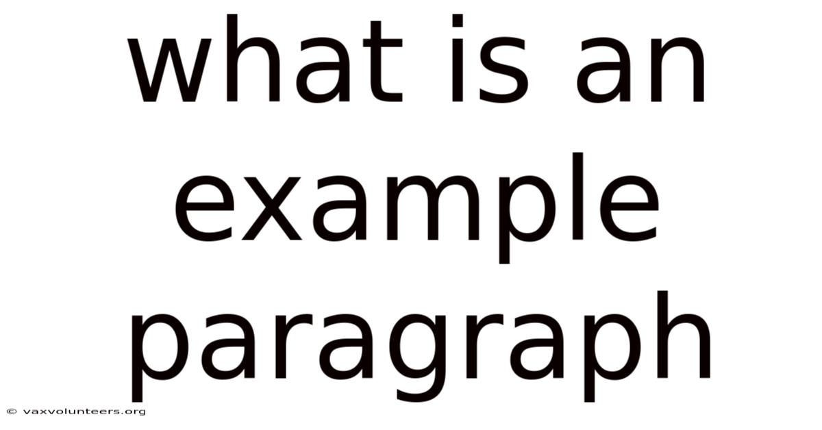 What Is An Example Paragraph