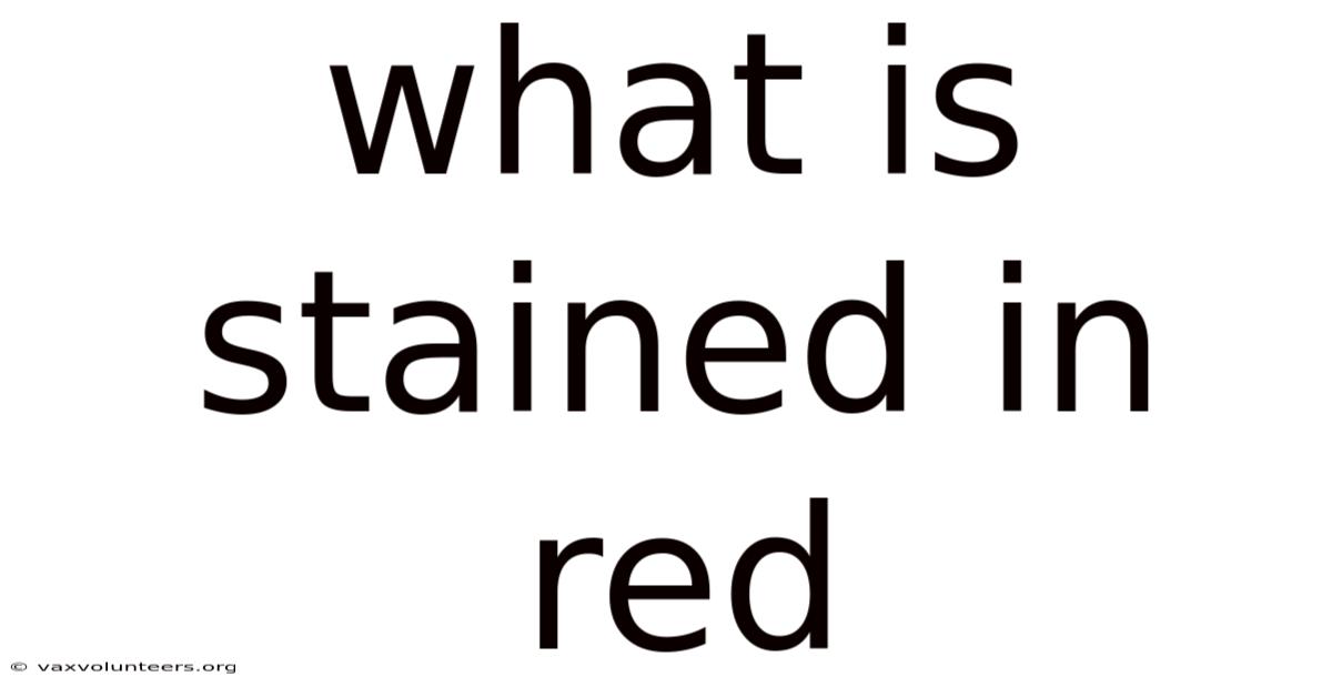 What Is Stained In Red