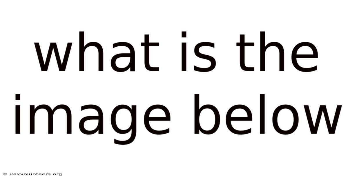 What Is The Image Below