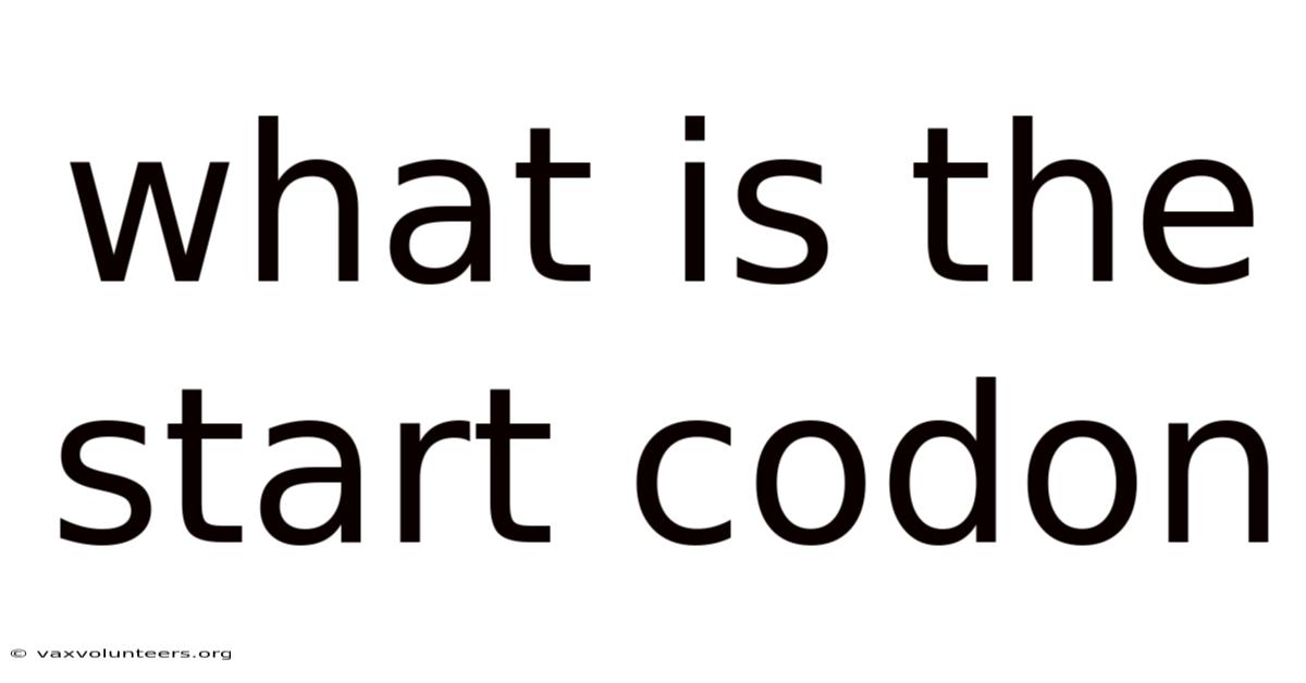 What Is The Start Codon