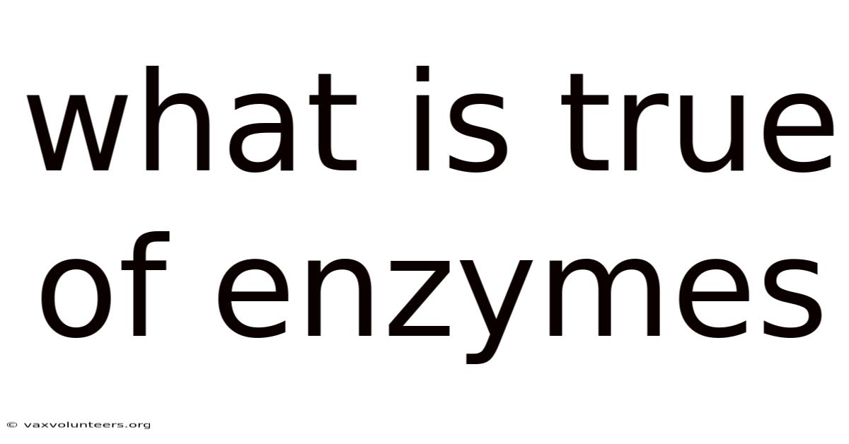 What Is True Of Enzymes