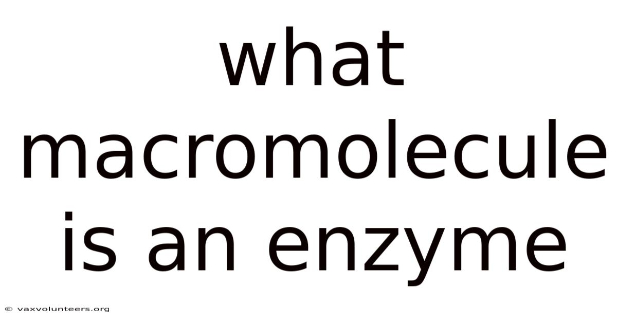 What Macromolecule Is An Enzyme