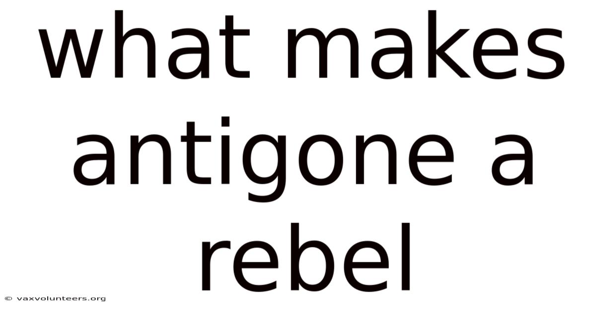 What Makes Antigone A Rebel