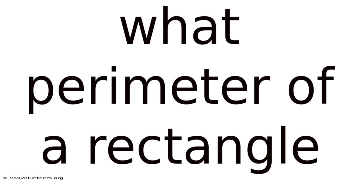 What Perimeter Of A Rectangle