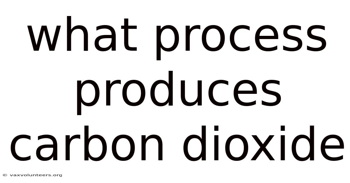 What Process Produces Carbon Dioxide